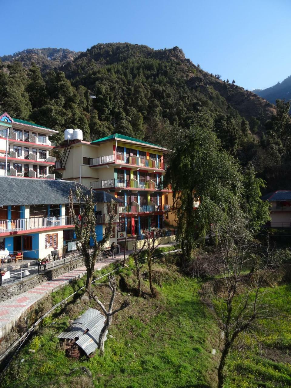La Vaca India Mcleodganj Vandrehjem McLeod Ganj Eksteriør billede